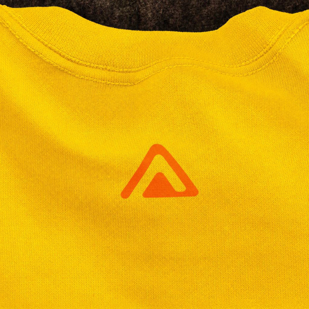 Sunflower - Orange4